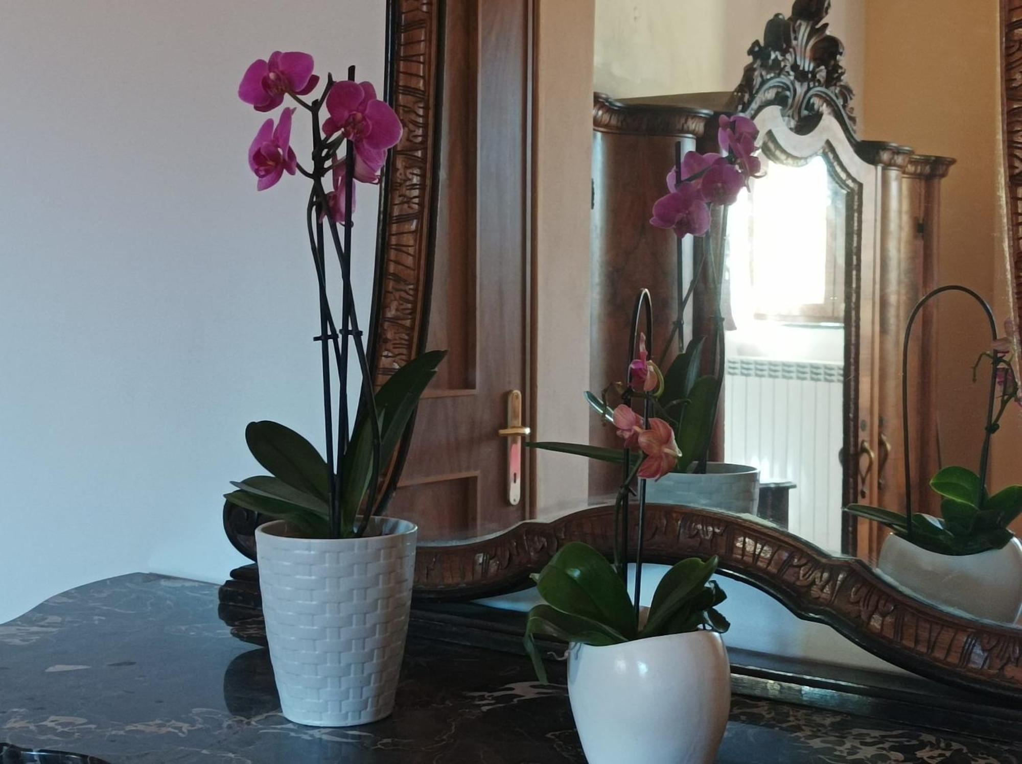 Bed And Breakfast Da Pio Castello  ภายนอก รูปภาพ