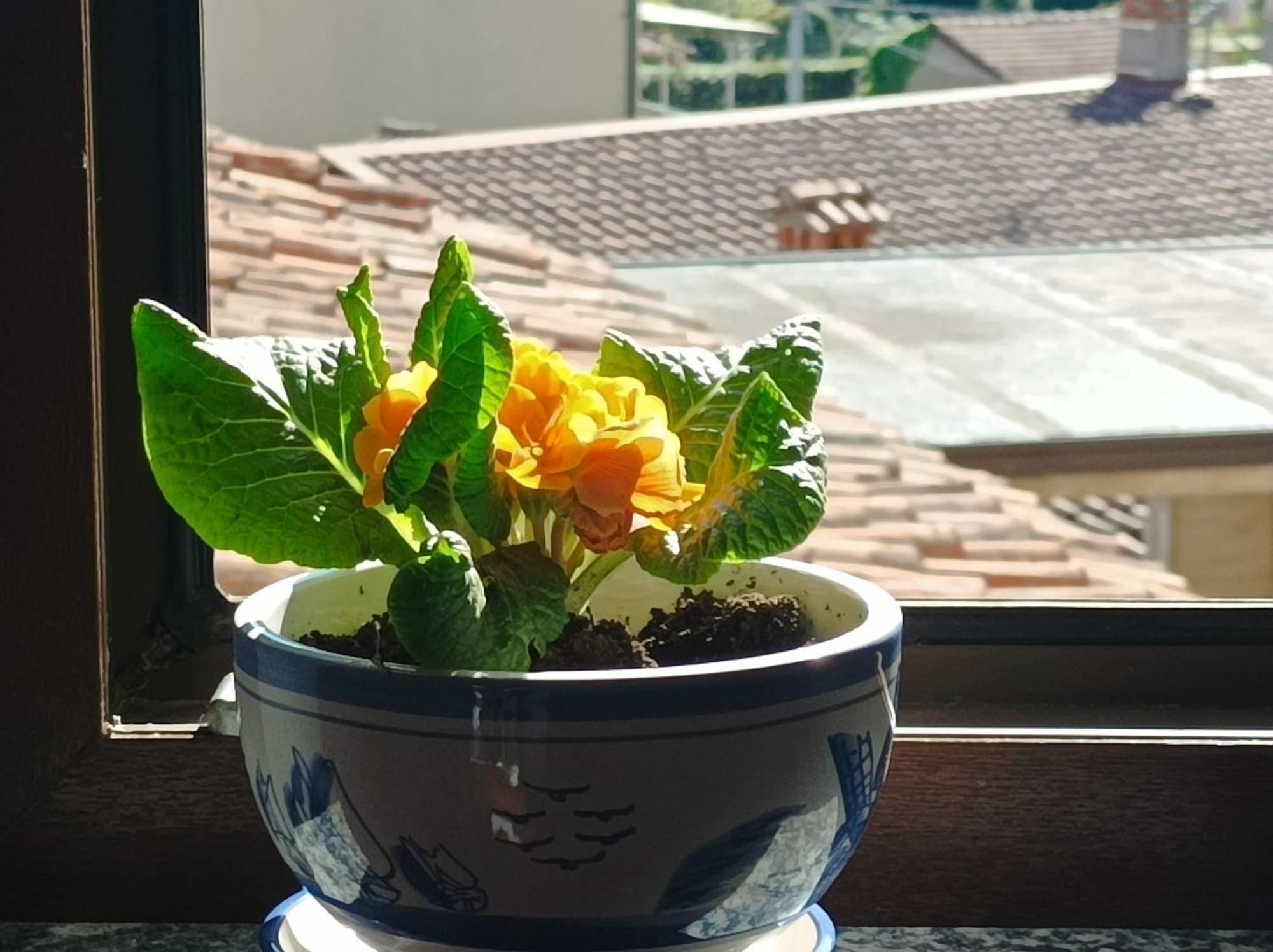 Bed And Breakfast Da Pio Castello  ภายนอก รูปภาพ